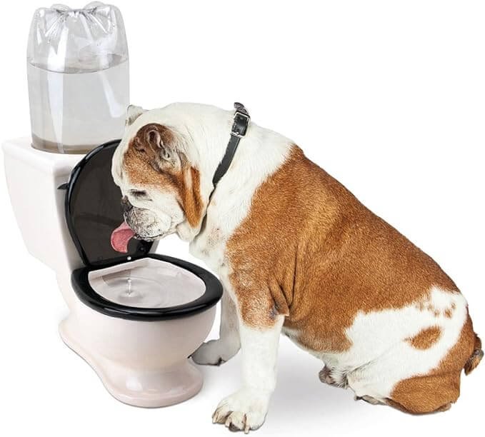 Toilet Water Dish for Pet